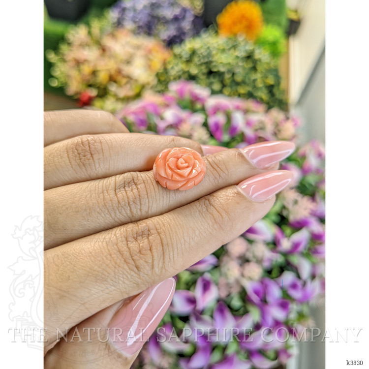 9.36 Ct. Coral from Australia