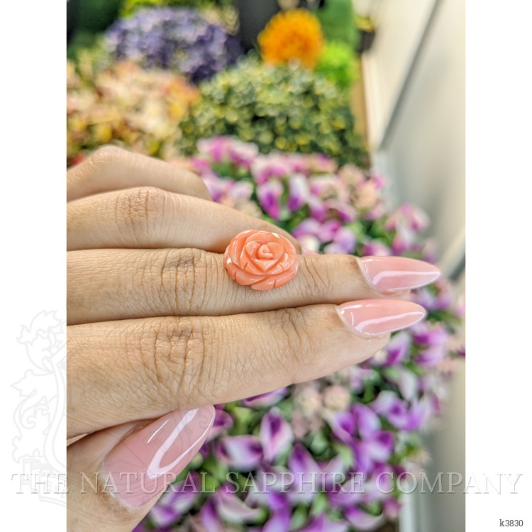 9.36 Ct. Coral from Australia