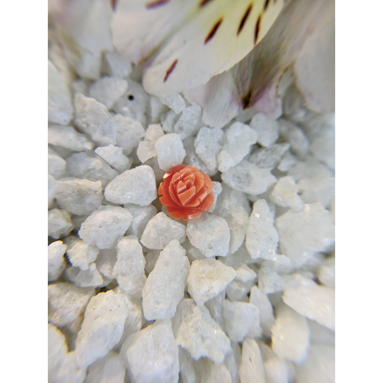 1.69 Ct. Coral from Australia