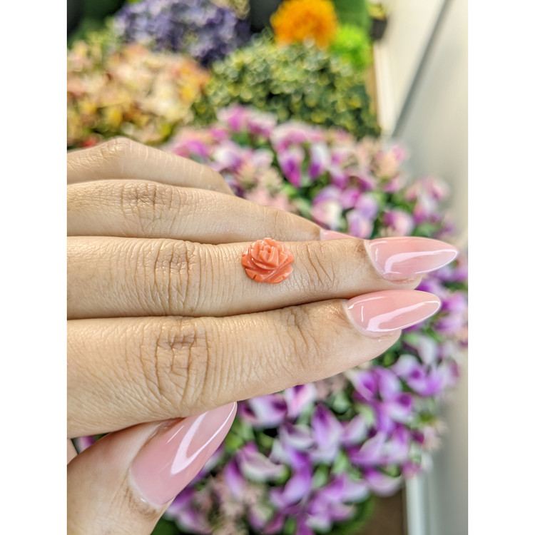 1.69 Ct. Coral from Australia