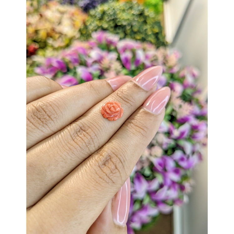 1.69 Ct. Coral from Australia