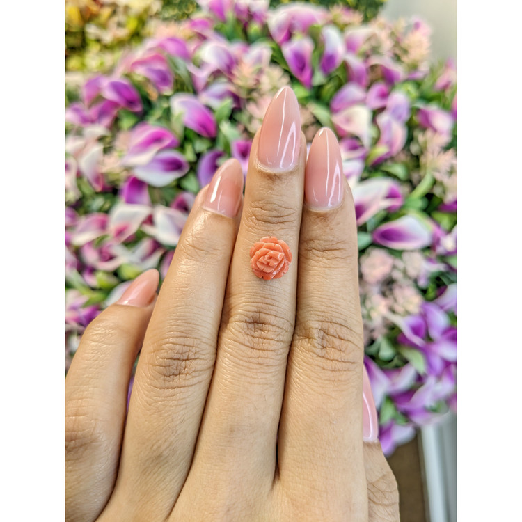 1.69 Ct. Coral from Australia