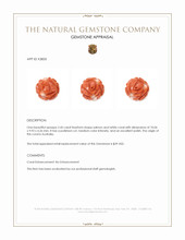 2.45 Ct. Salmon and White Coral from Australia Appraisal