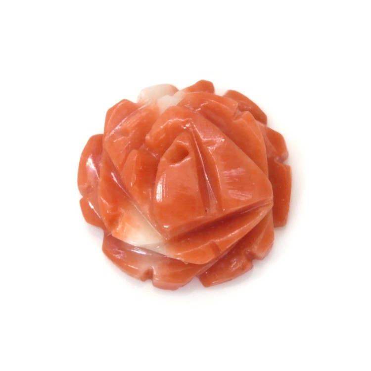 2.45 Ct. Coral from Australia