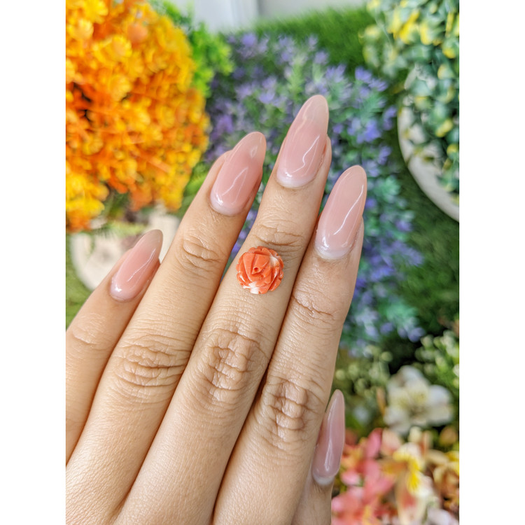 2.45 Ct. Coral from Australia