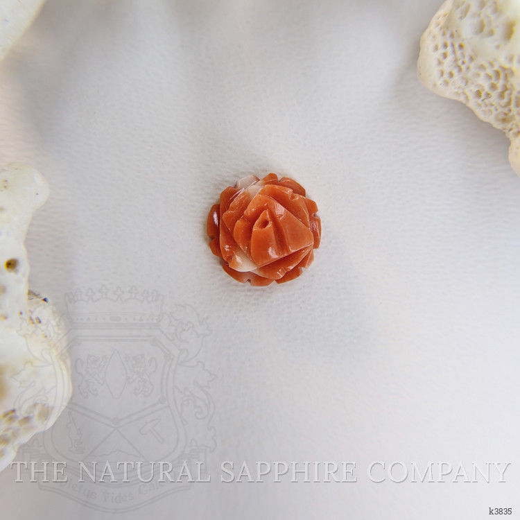 2.45 Ct. Coral from Australia