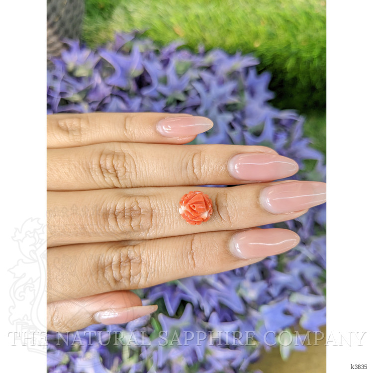 2.45 Ct. Coral from Australia