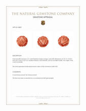 2.31 Ct. Coral from Australia Appraisal