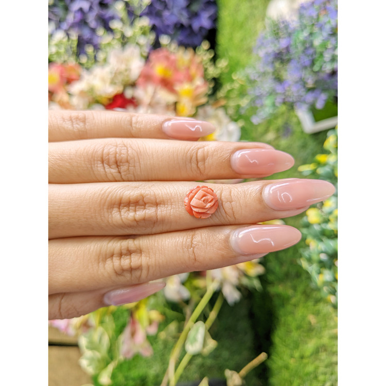 2.31 Ct. Coral from Australia