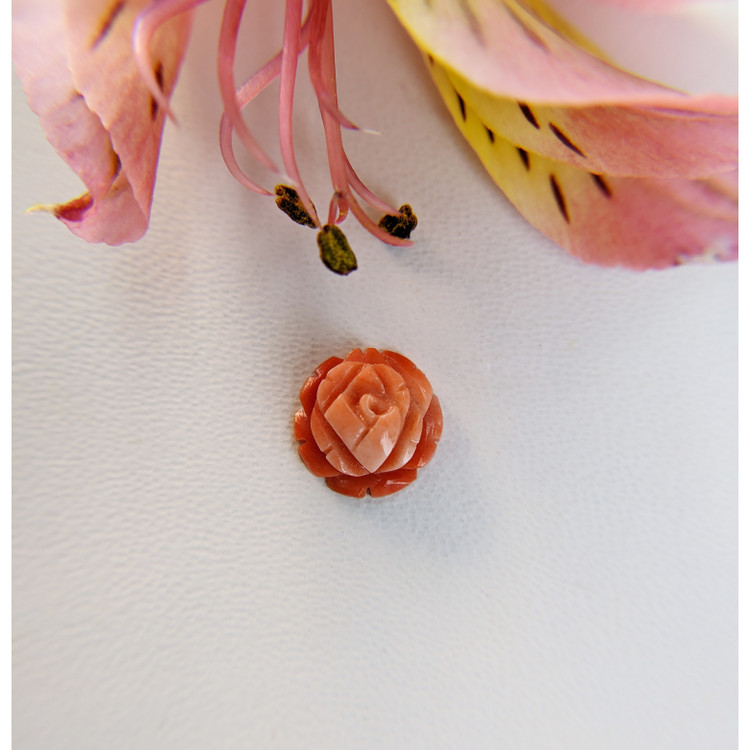 2.31 Ct. Coral from Australia