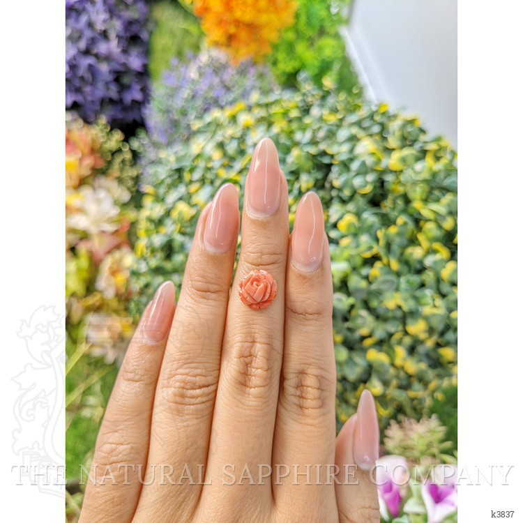 2.31 Ct. Coral from Australia
