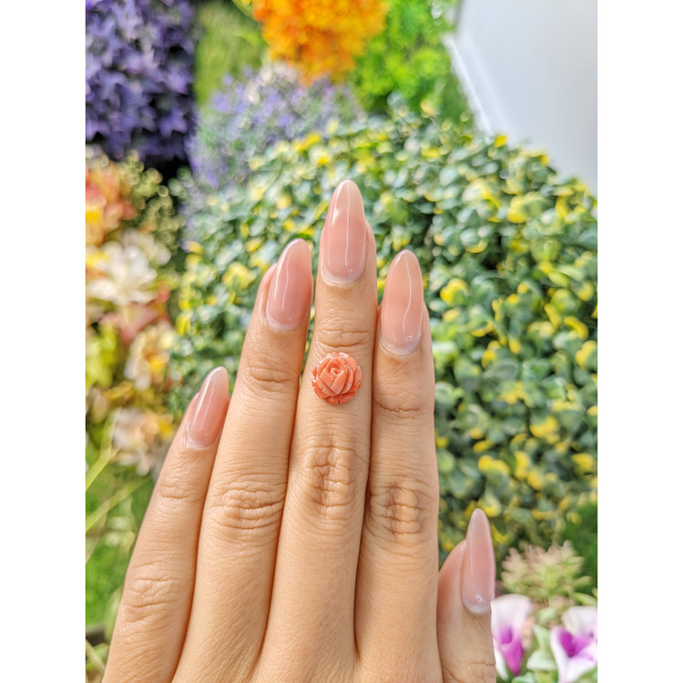 2.31 Ct. Coral from Australia