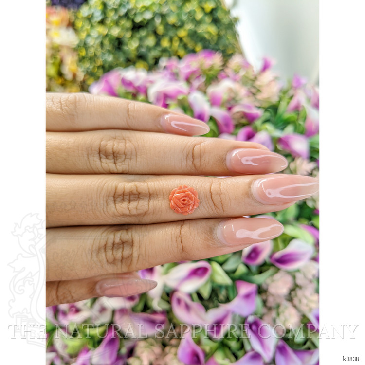 1.88 Ct. Coral from Australia