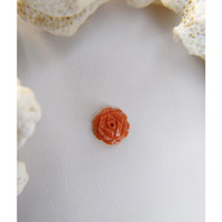 1.88 Ct. Coral from Australia Life Style