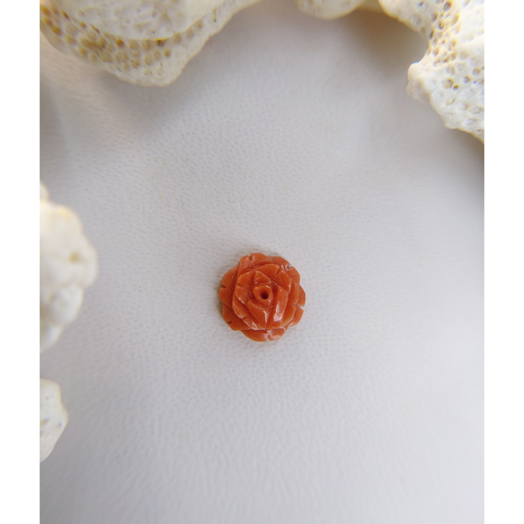 1.88 Ct. Coral from Australia
