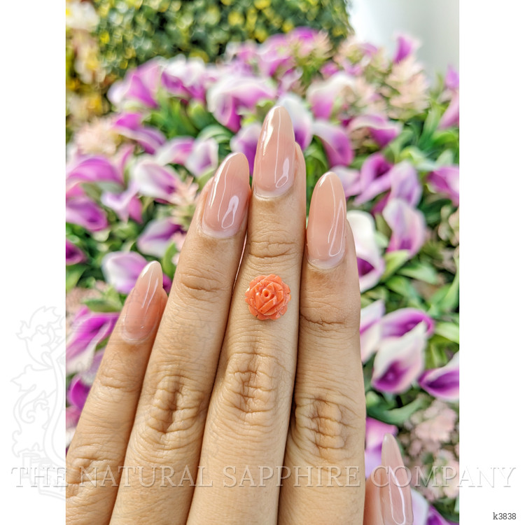 1.88 Ct. Coral from Australia