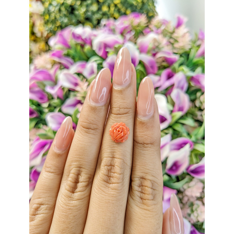 1.88 Ct. Coral from Australia