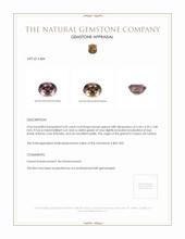 0.69 Ct. Garnet from Ceylon (Sri Lanka) Appraisal