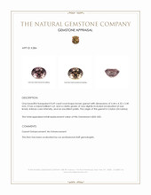 0.69 Ct. Garnet from Ceylon (Sri Lanka) Appraisal