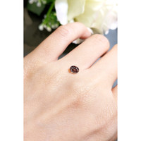 0.69 Ct. Garnet from Ceylon (Sri Lanka) Life Style