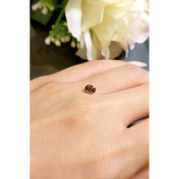 0.69 Ct. Garnet from Ceylon (Sri Lanka) Life Style