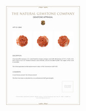 2.31 Ct. Salmon (Orange) Coral from Australia Appraisal