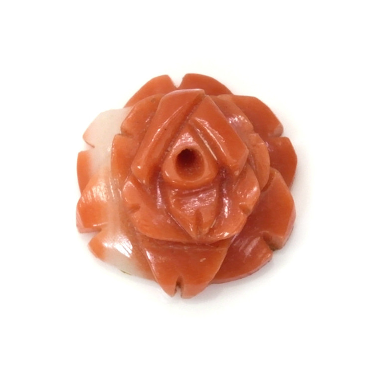 2.31 Ct. Coral from Australia