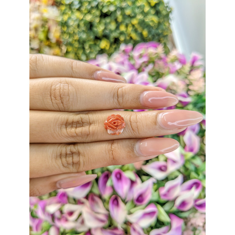 2.31 Ct. Coral from Australia