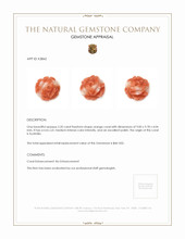 2.20 Ct. Coral from Australia Appraisal