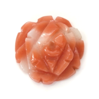 2.20 Ct. Coral from Australia Video