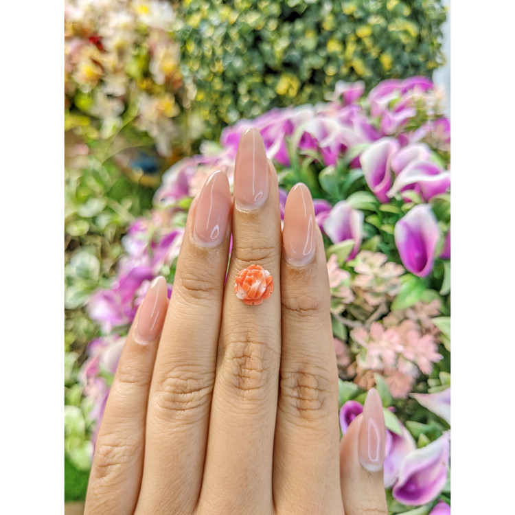 2.20 Ct. Coral from Australia