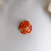2.20 Ct. Coral from Australia Life Style