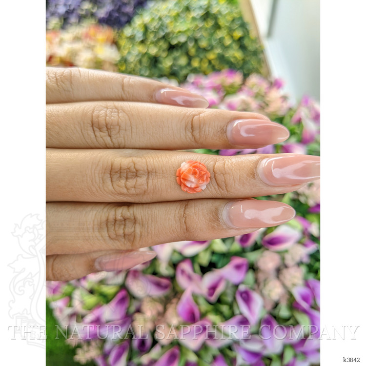 2.20 Ct. Coral from Australia