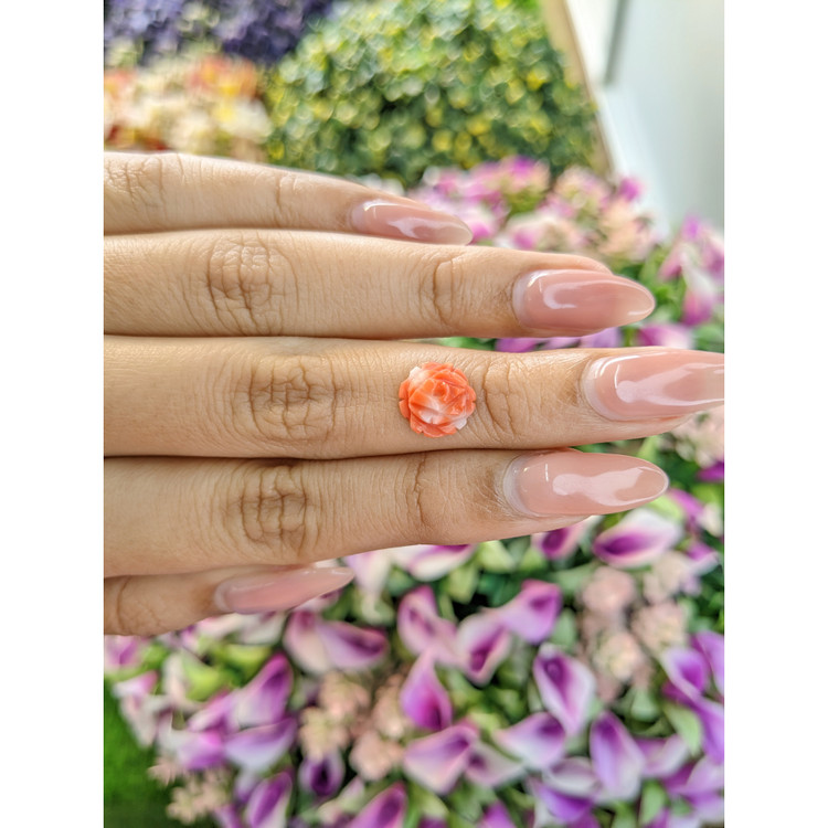 2.20 Ct. Coral from Australia