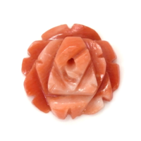 1.90 Ct. Coral from Australia Video