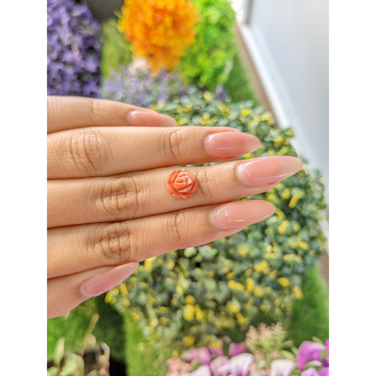 1.90 Ct. Coral from Australia