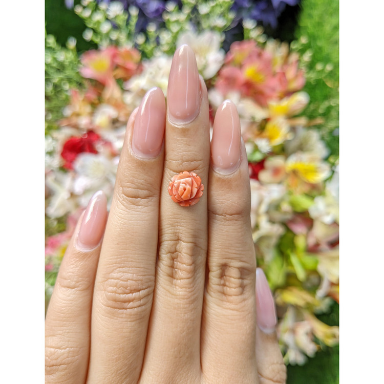 1.90 Ct. Coral from Australia