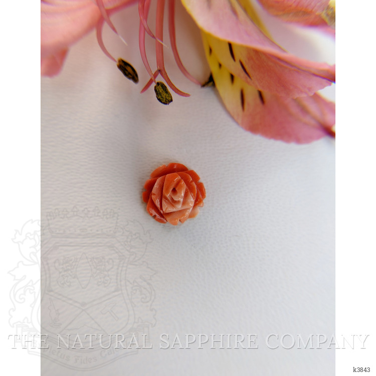 1.90 Ct. Coral from Australia