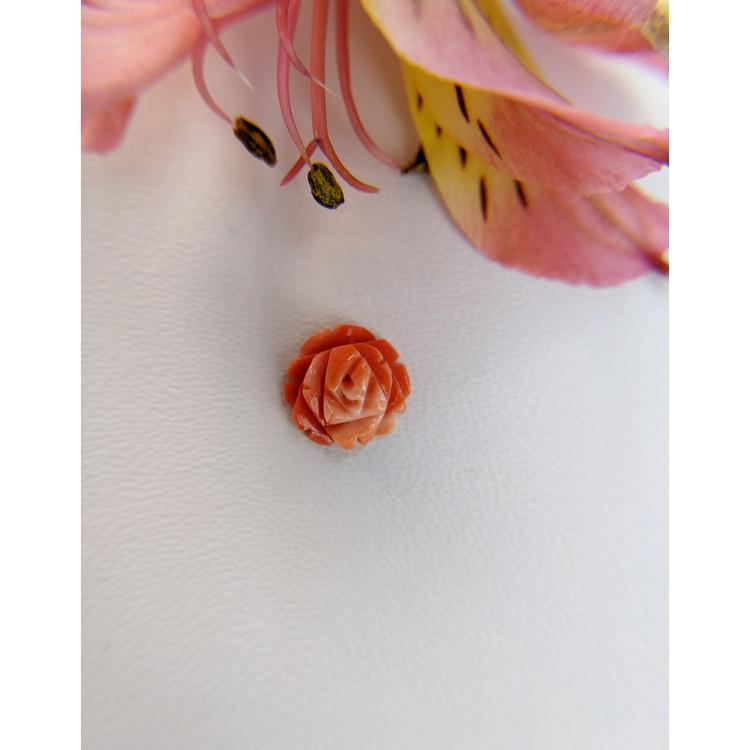 1.90 Ct. Coral from Australia