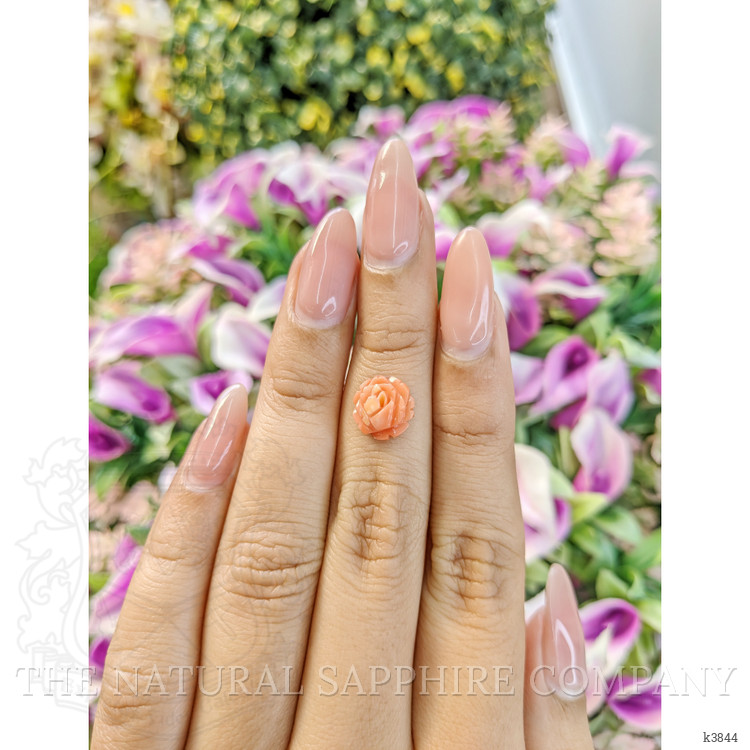 1.96 Ct. Coral from Australia