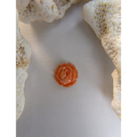 1.96 Ct. Coral from Australia Life Style
