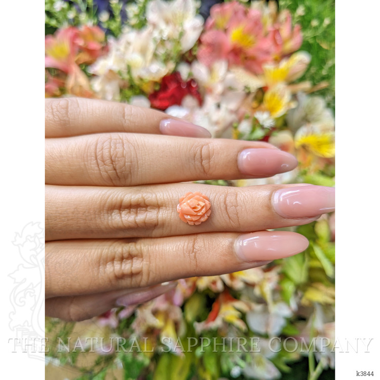 1.96 Ct. Coral from Australia