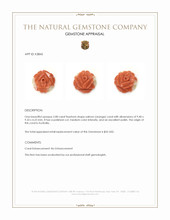 2.08 Ct. Salmon (Orange) Coral from Australia Appraisal