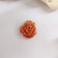 2.08 Ct. Coral from Australia Life Style