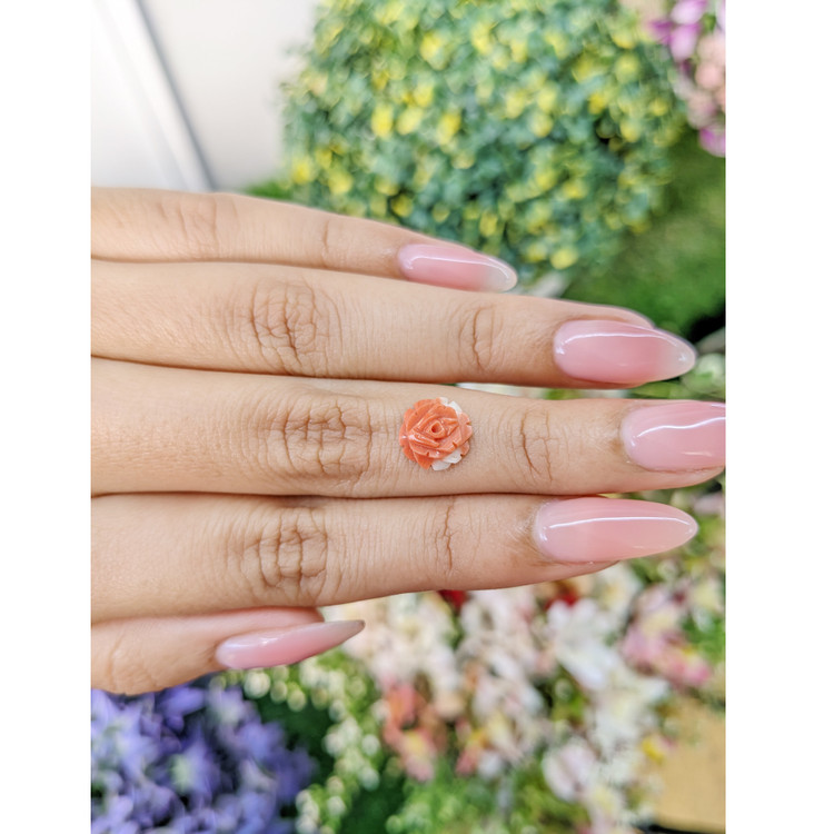 2.08 Ct. Coral from Australia