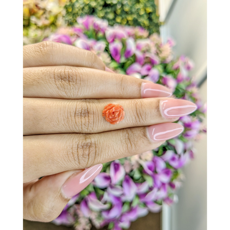 1.87 Ct. Coral from Australia