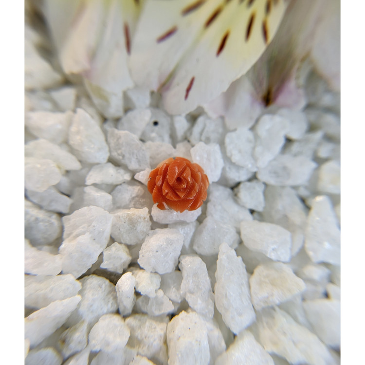 1.87 Ct. Coral from Australia