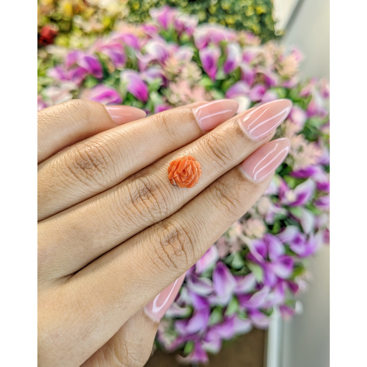 1.87 Ct. Coral from Australia