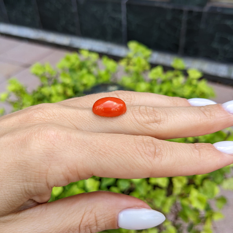 6.63 Ct. Cabochon Coral from Italy