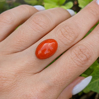 6.63 Ct. Cabochon Coral from Italy Life Style